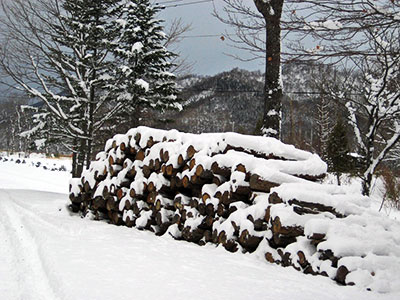 2014年12月根雪の始まり