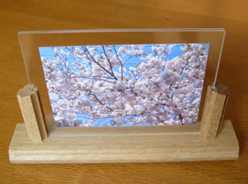 oak photo stand L-size 